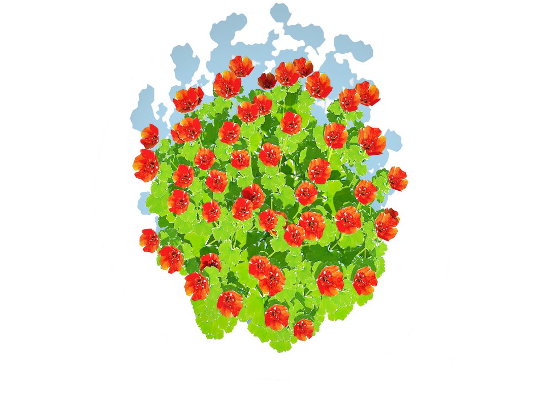 Geum -Totally Tangerine Image 3