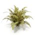 Tropical Crocodile Fern Decorative Bush - Thumbnail 4
