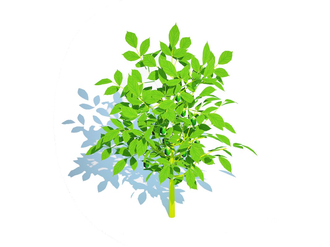 Pepper-green Image 2