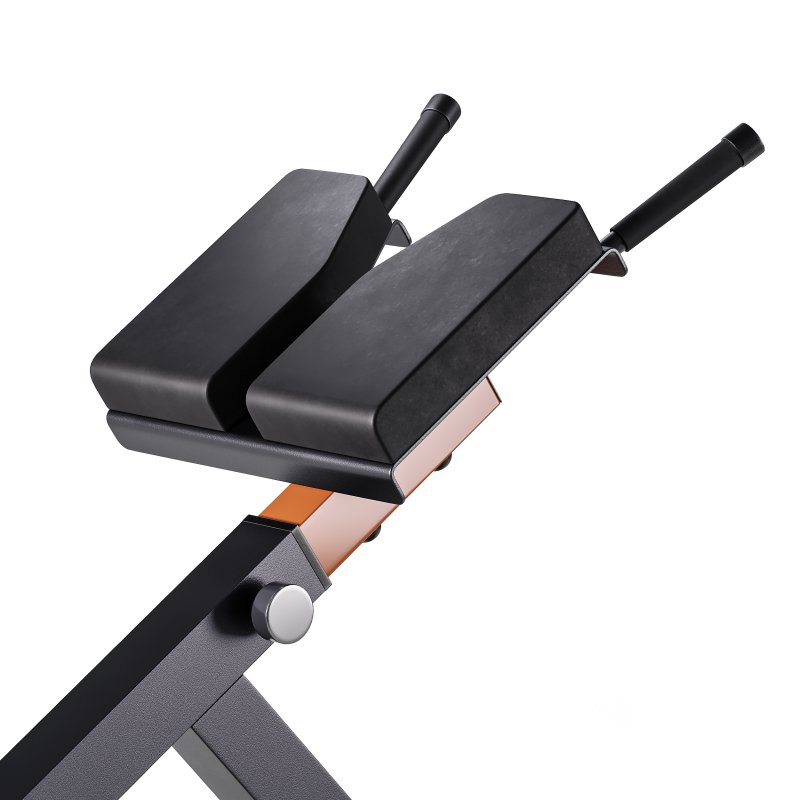 Hyperextension Club Line Lacertosus Image 1