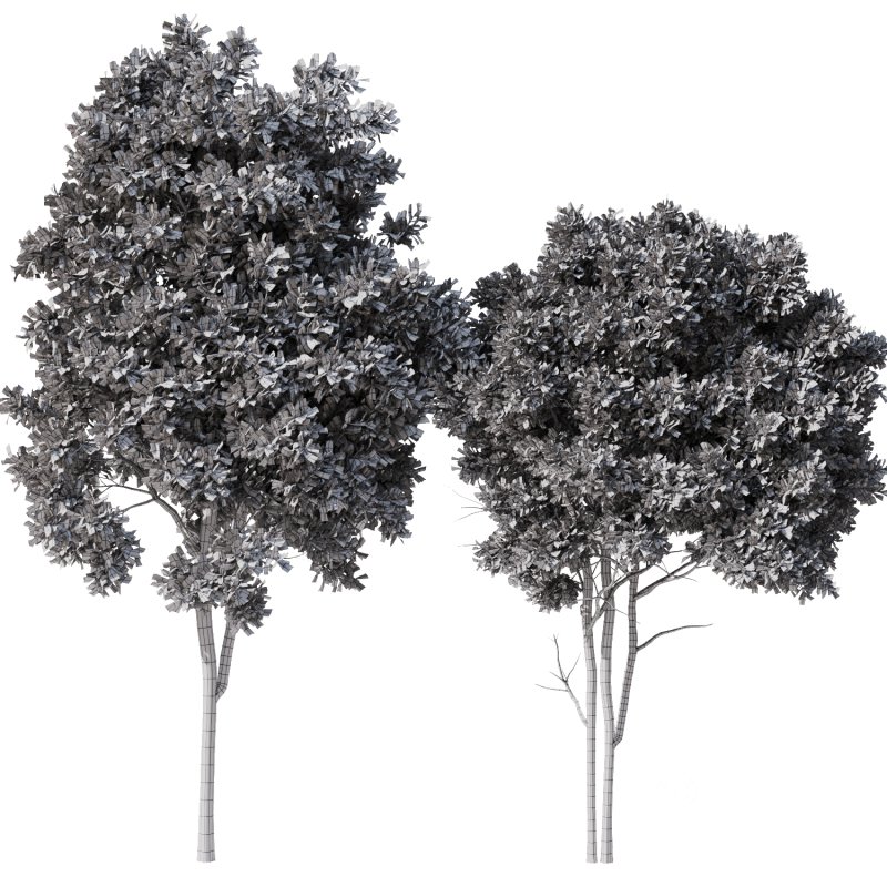 Tree Set32-Urban tree Image 4