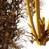 Bamboo Bambusoideae Bush 02 - Thumbnail 7