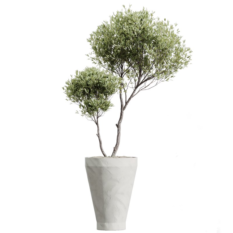 ntal olive—making this collection a visual statement for modern interior design. Image 9