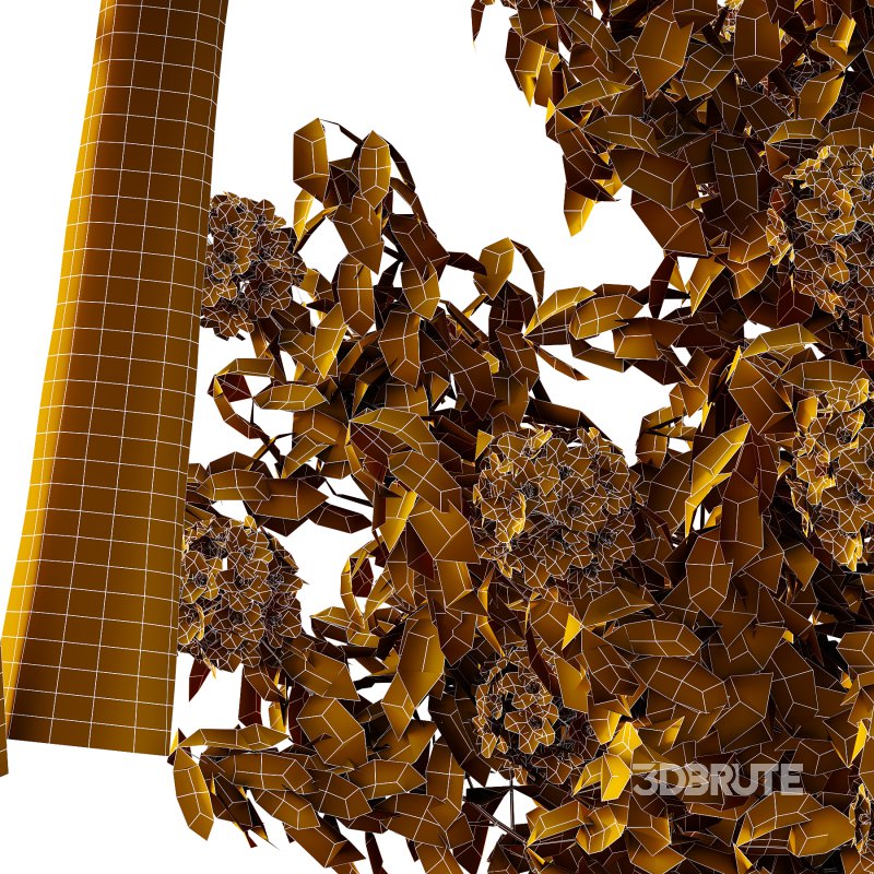 Rhododendron Arboreum Bush 01 Image 7