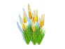 Eremurus – Foxtail Lily_Yellow - Thumbnail 1