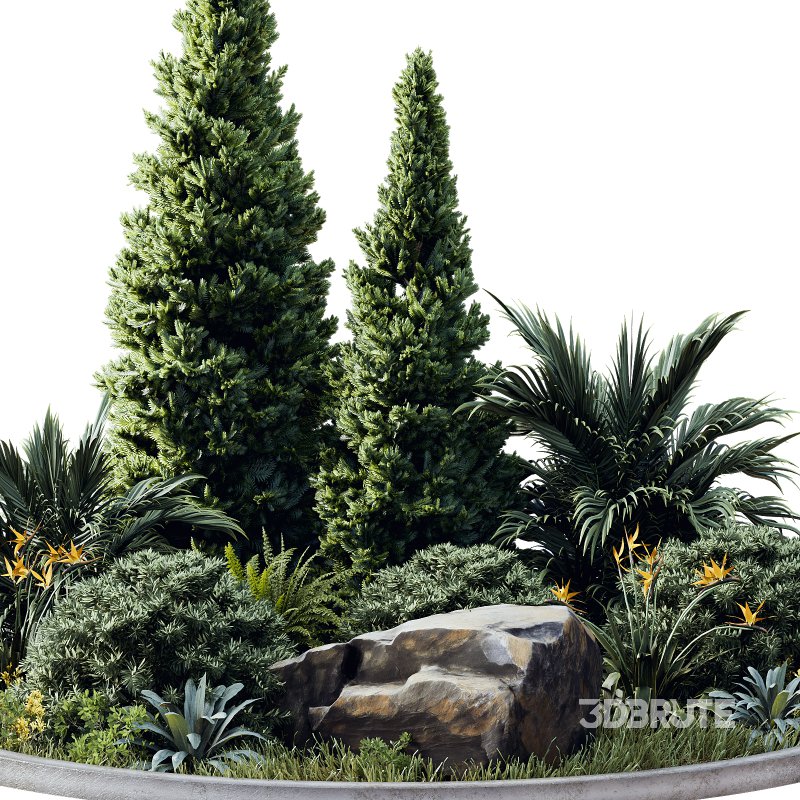 Outdoor Plant 41 Image 4