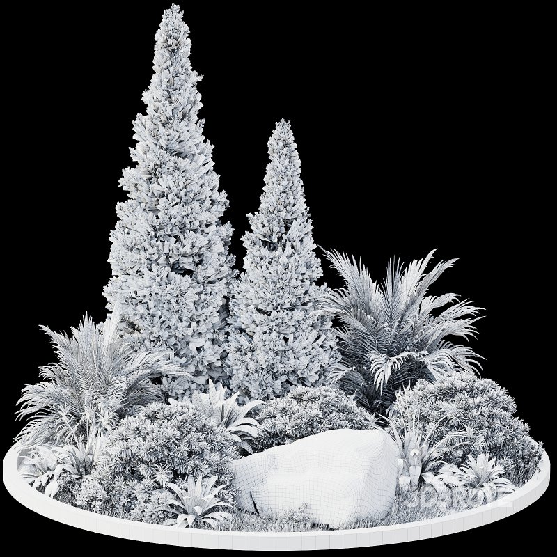 Outdoor Plant 41 Image 5