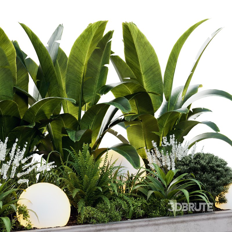 Outdoor Plant 40 Image 4