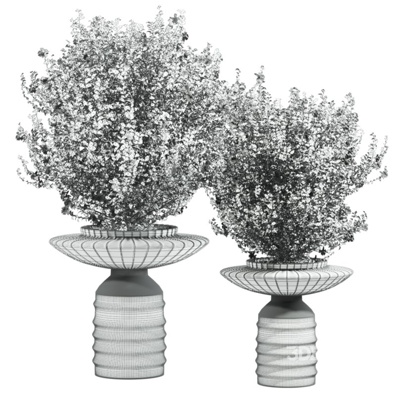 bush plants set Image 4