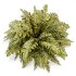 Tropical Crocodile Fern Decorative Bush - Thumbnail 5