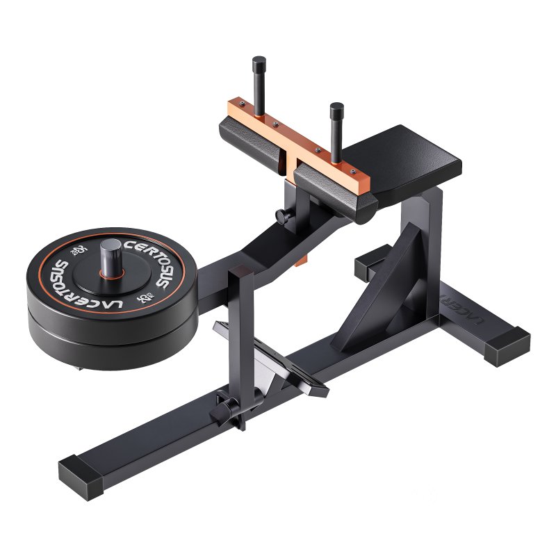 Seated Calf Machine Plate Loaded Image 2