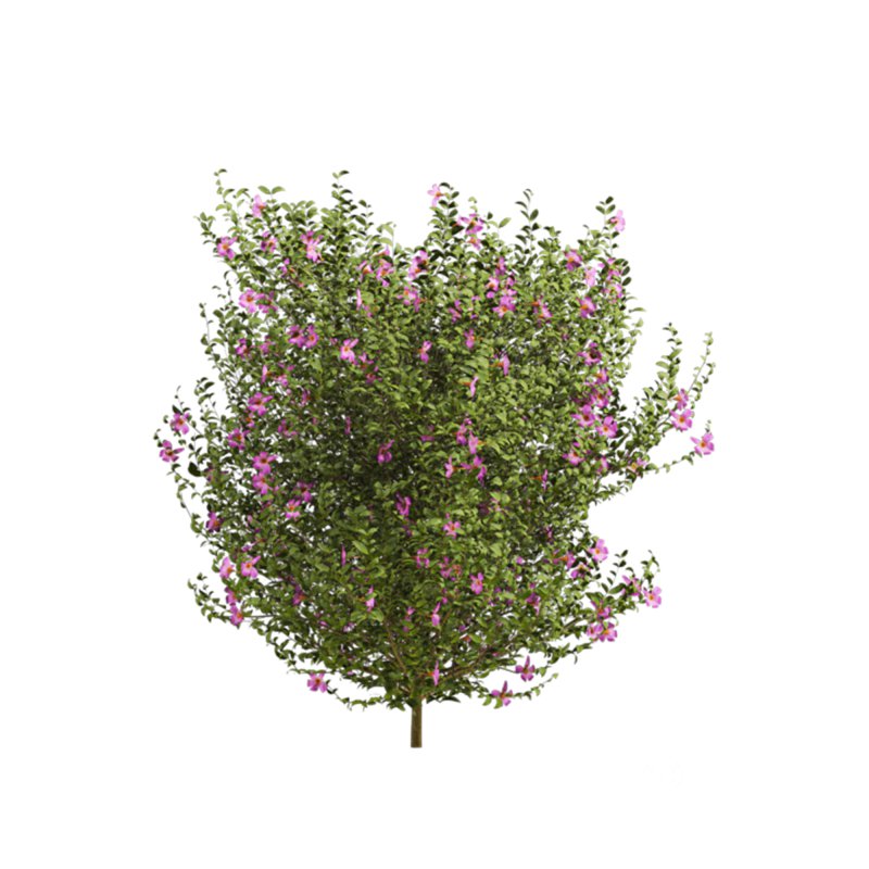 bush plants set Image 4