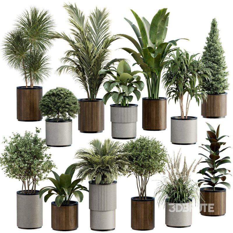 13 High Quality 3D Pot plants Image 3