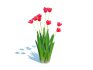Tulipa – tulips Red - Thumbnail 1