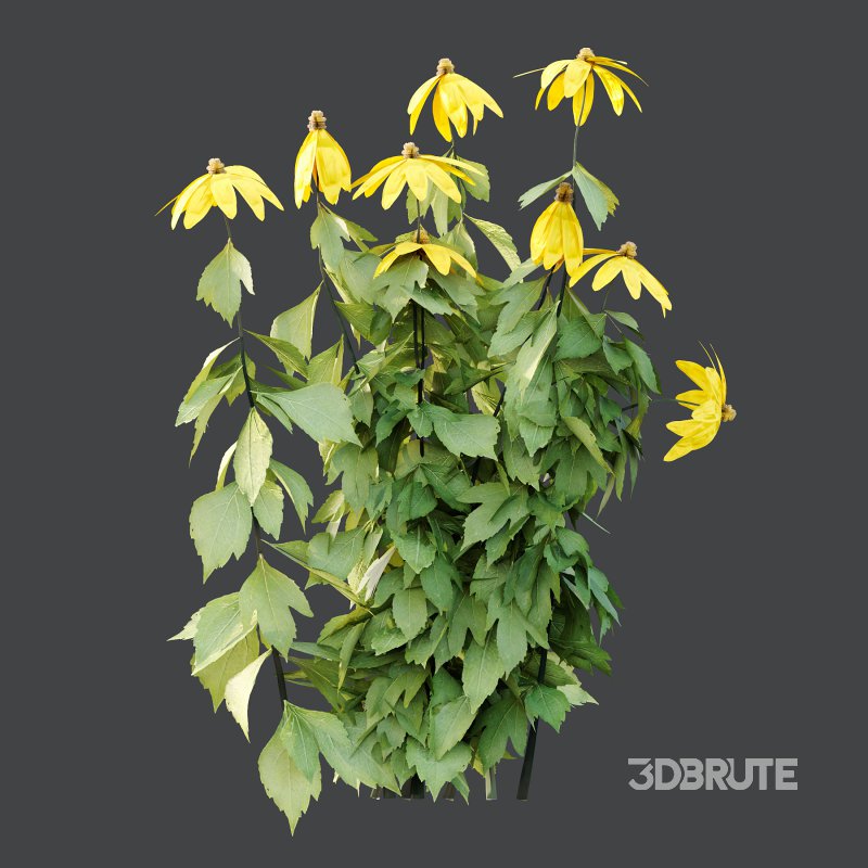 Different Grass 03 Image 4