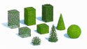 Taxus Media Multiple Size and Shape - Thumbnail 5