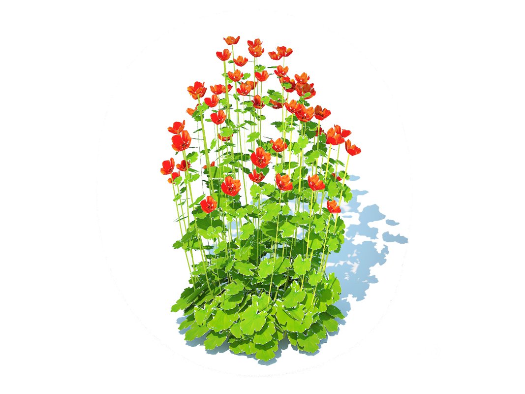 Geum -Totally Tangerine Image 1