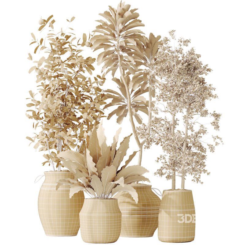 ntal plants, including Mission Olive Tree, Euphorbia Drupifera, Orange Fruit Bonsai, and Spathiphyllum Domino (Peace Lily). Each plant contributes a unique leaf structure and growth habit, while collectively forming a rich, natural ensemble perfect for calm, contemporary interiors. Image 7