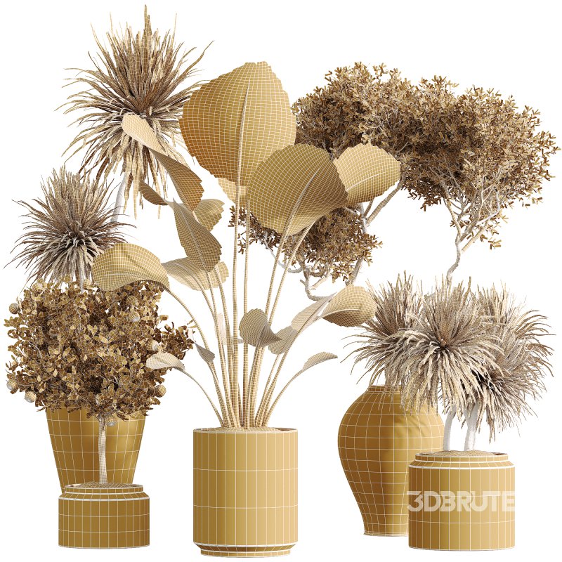 ntal, and fruit-bearing plants adds both texture and color variety to interior renders. Image 6