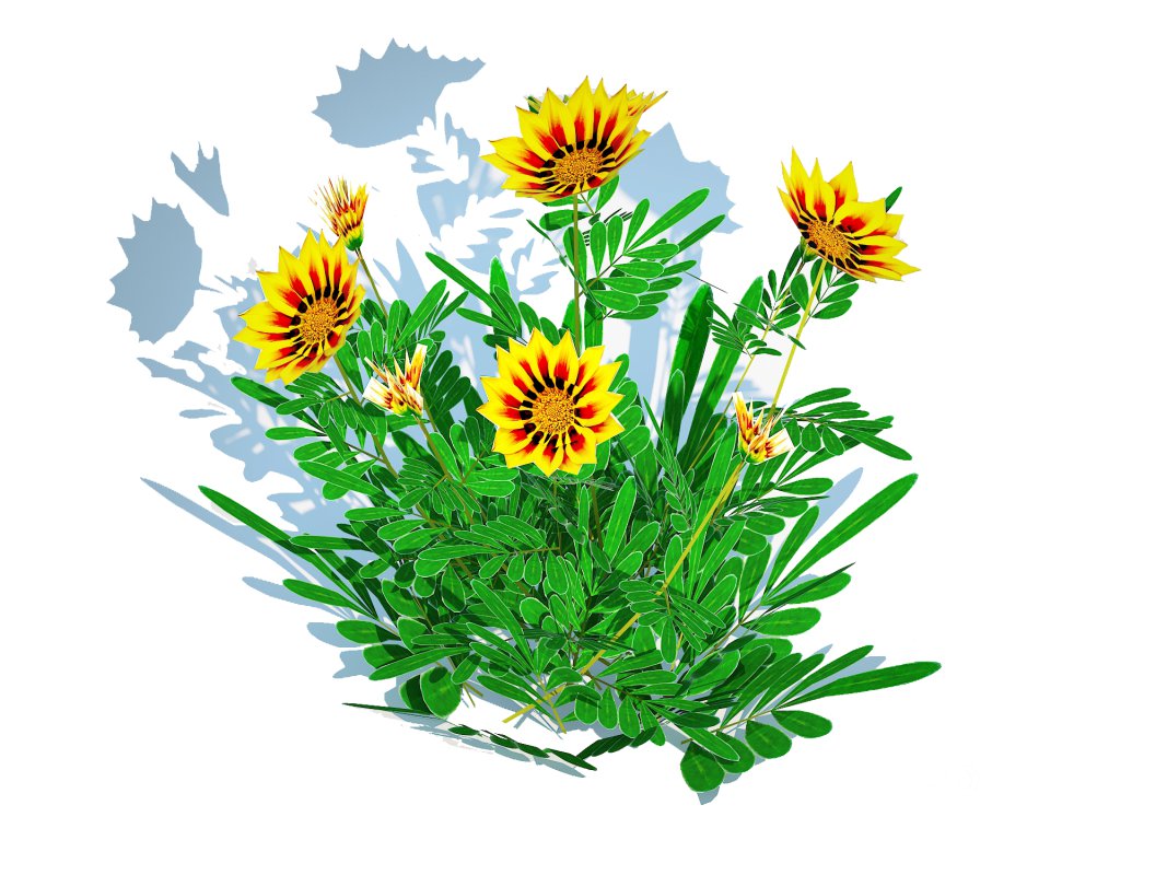 Gazania rigens Daybreak Yellow Image 5