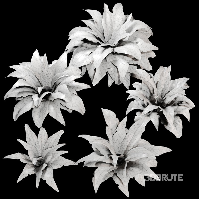 Tropical Crocodile Fern Decorative Bush Image 2