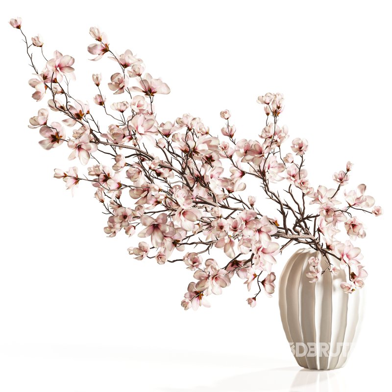 Magnolia Blossom Branches in White Ceramic Vase Image 1