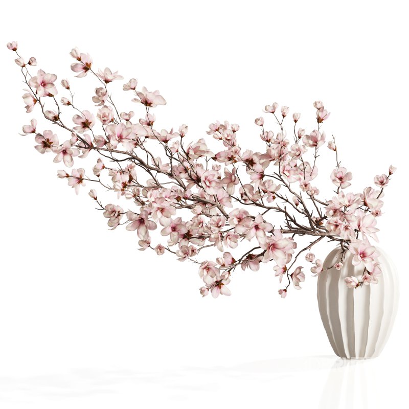 Magnolia Blossom Branches in White Ceramic Vase Image 2