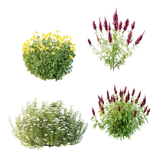 Different bush 08