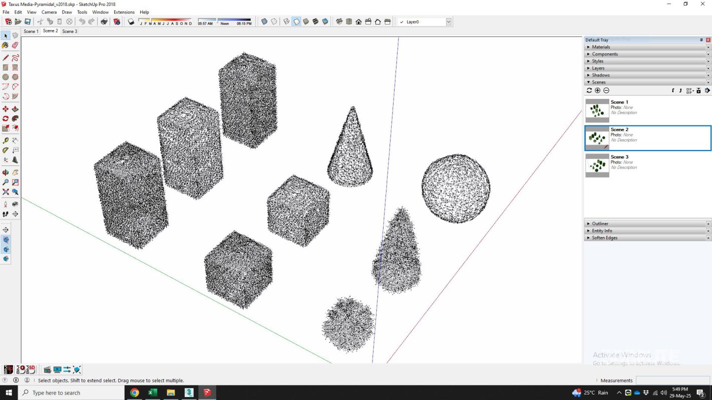Taxus Media Multiple Size and Shape Image 7
