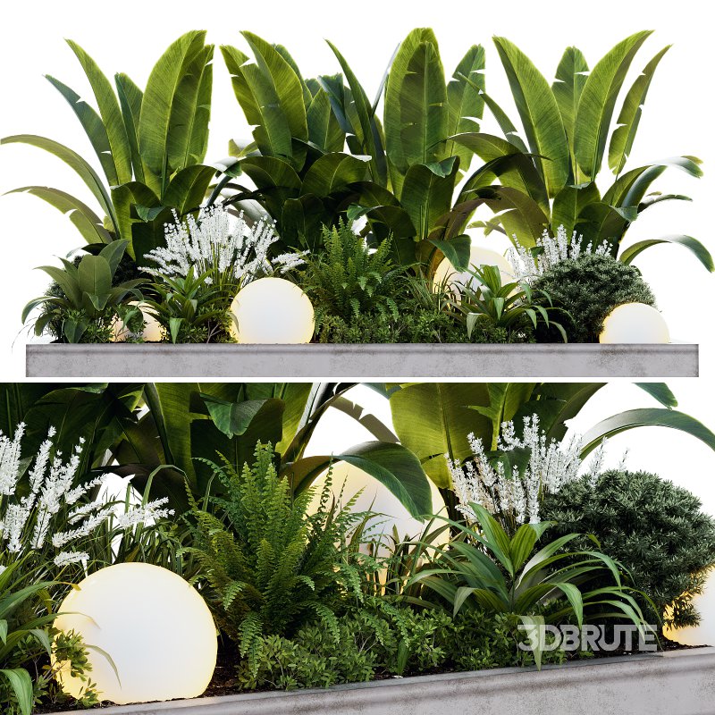 Outdoor Plant 40 Image 5