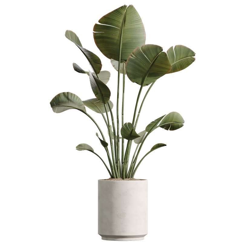 ntal, and fruit-bearing plants adds both texture and color variety to interior renders. Image 2