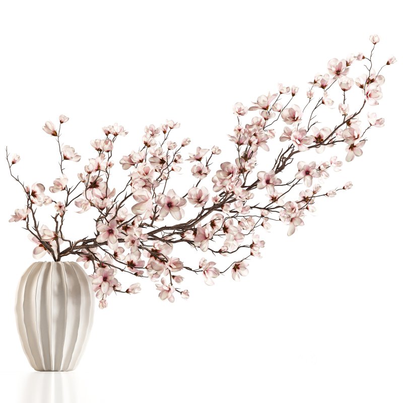 Magnolia Blossom Branches in White Ceramic Vase Image 6
