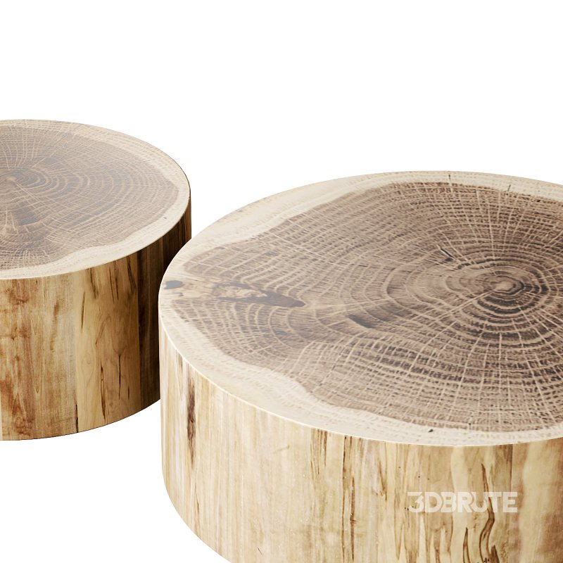 ECO Coffee Tables by Riva 1920 Image 2