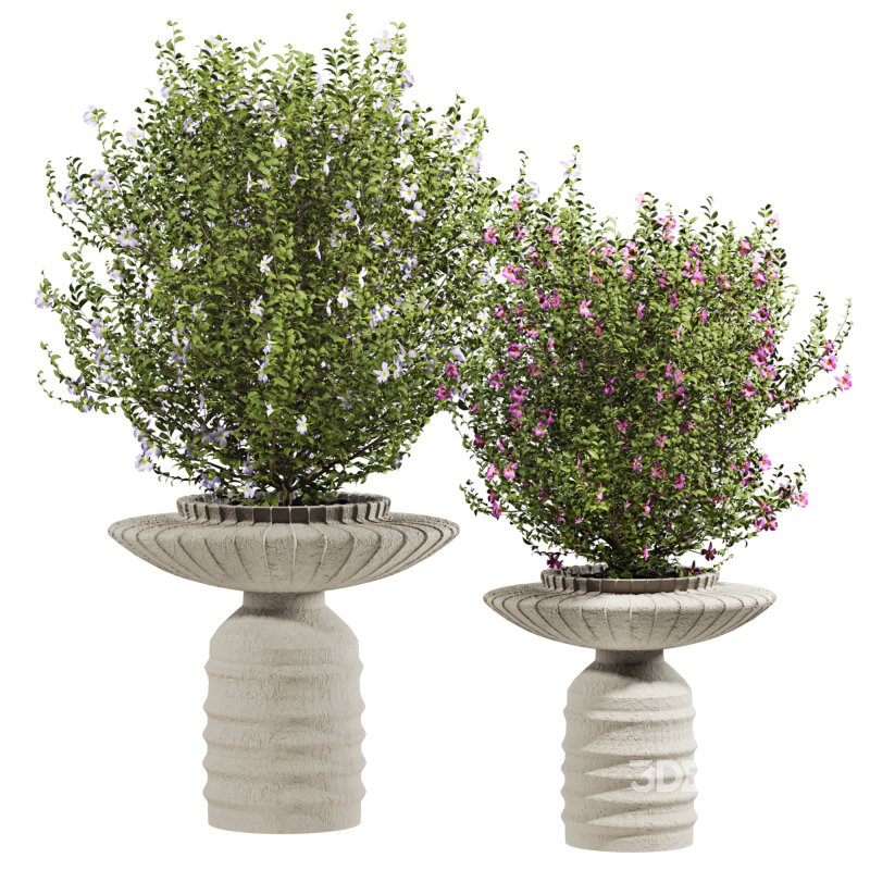 bush plants set Image 1