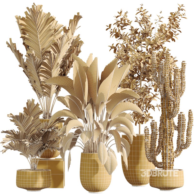 AV Indoor Plants Set 235 Banana Strelitzia Areca Palm Olive Eucalyptus Cactus Euphorbia Image 6