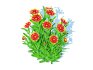 Gaillardia pulchella - Thumbnail 6