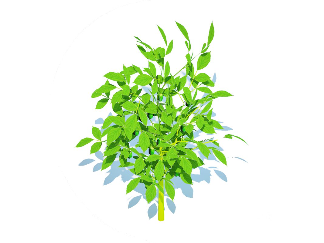 Pepper-green Image 1