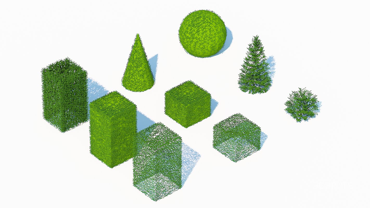 Taxus Media Multiple Size and Shape Image 3