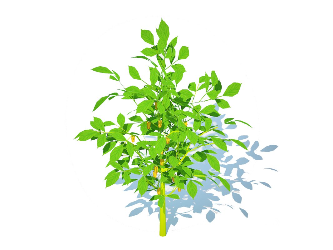 Bell Pepper-yellow Image 1