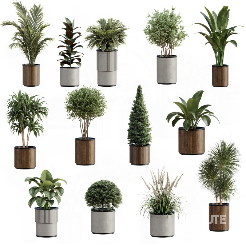 13 High Quality 3D Pot plants Image 8