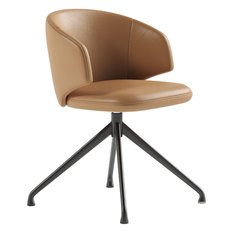 Balado dining chair Image 5