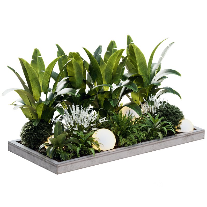 Outdoor Plant 40 Image 1