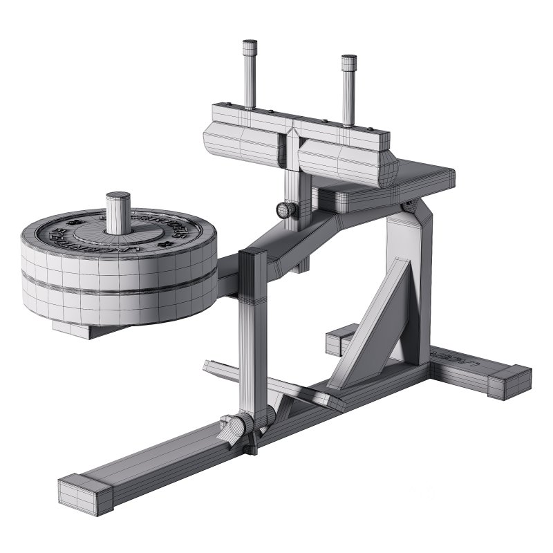 Seated Calf Machine Plate Loaded Image 9