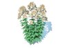 Eupatorium rugosum Chocolate – White Snakeroot - Thumbnail 5