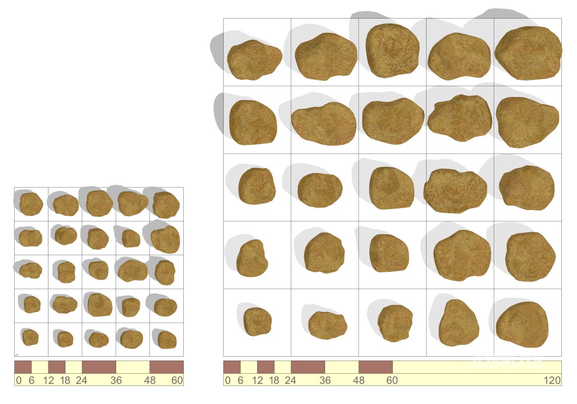 Rockery Natural Gold 6-24inch1 Image 4