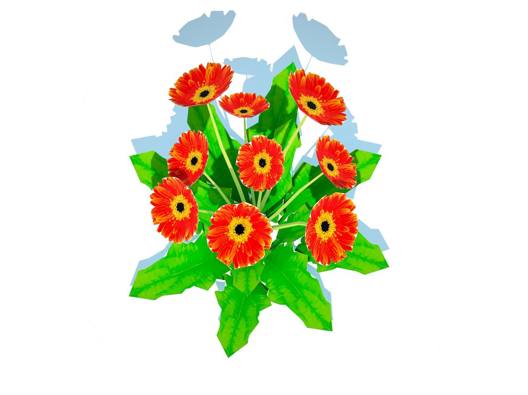 Gerbera – Gerbera Daisy_Orange_Flower Image 1