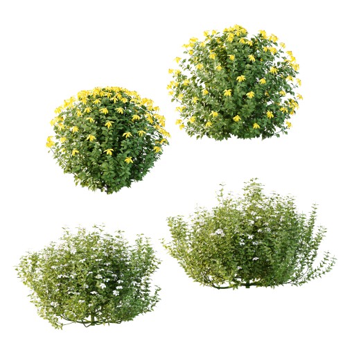 Different bush 05