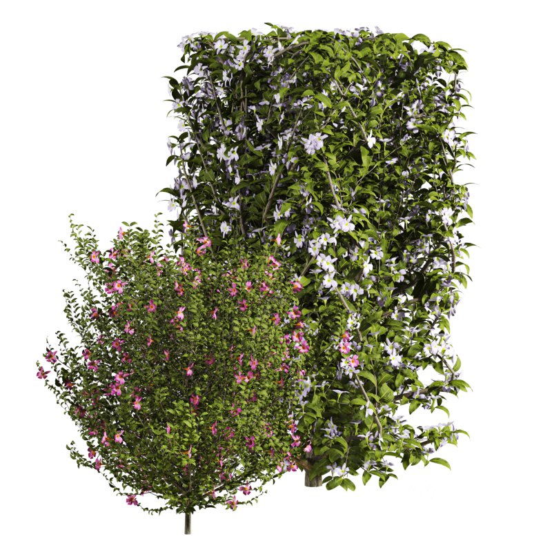 bush plants set Image 3