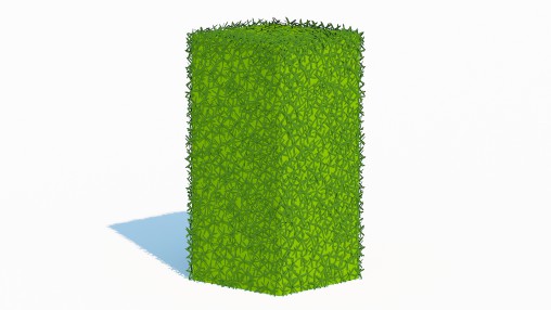 Taxus Media-Upright