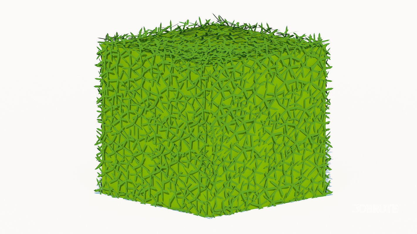 Taxus Media-Square Image 4